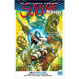 Suicide Squad Vol 02 Going Sane 